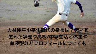 大谷翔平海外の反応をヤクテナで人気活躍の理由凄さを調査 かわいい ハンサム イケメンすぎる笑顔とのギャップへのファンの反応は Nakaseteの普通が一番むずかしい