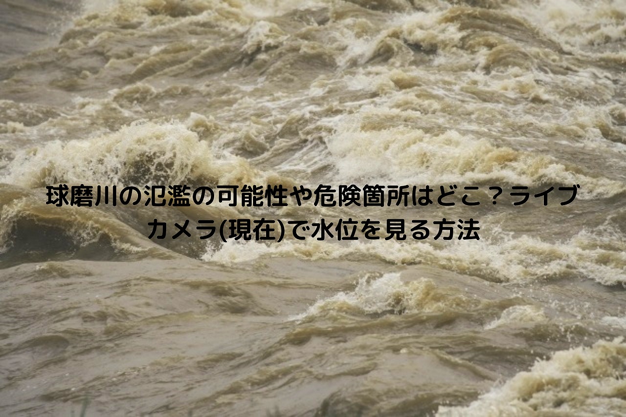 球磨川の氾濫の可能性や危険箇所はどこ ライブカメラ 現在 で水位を見る方法 Nakaseteの普通が一番むずかしい